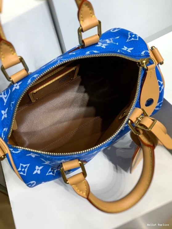 Affordable Vuitton 25 SPEEDY Louis 0810